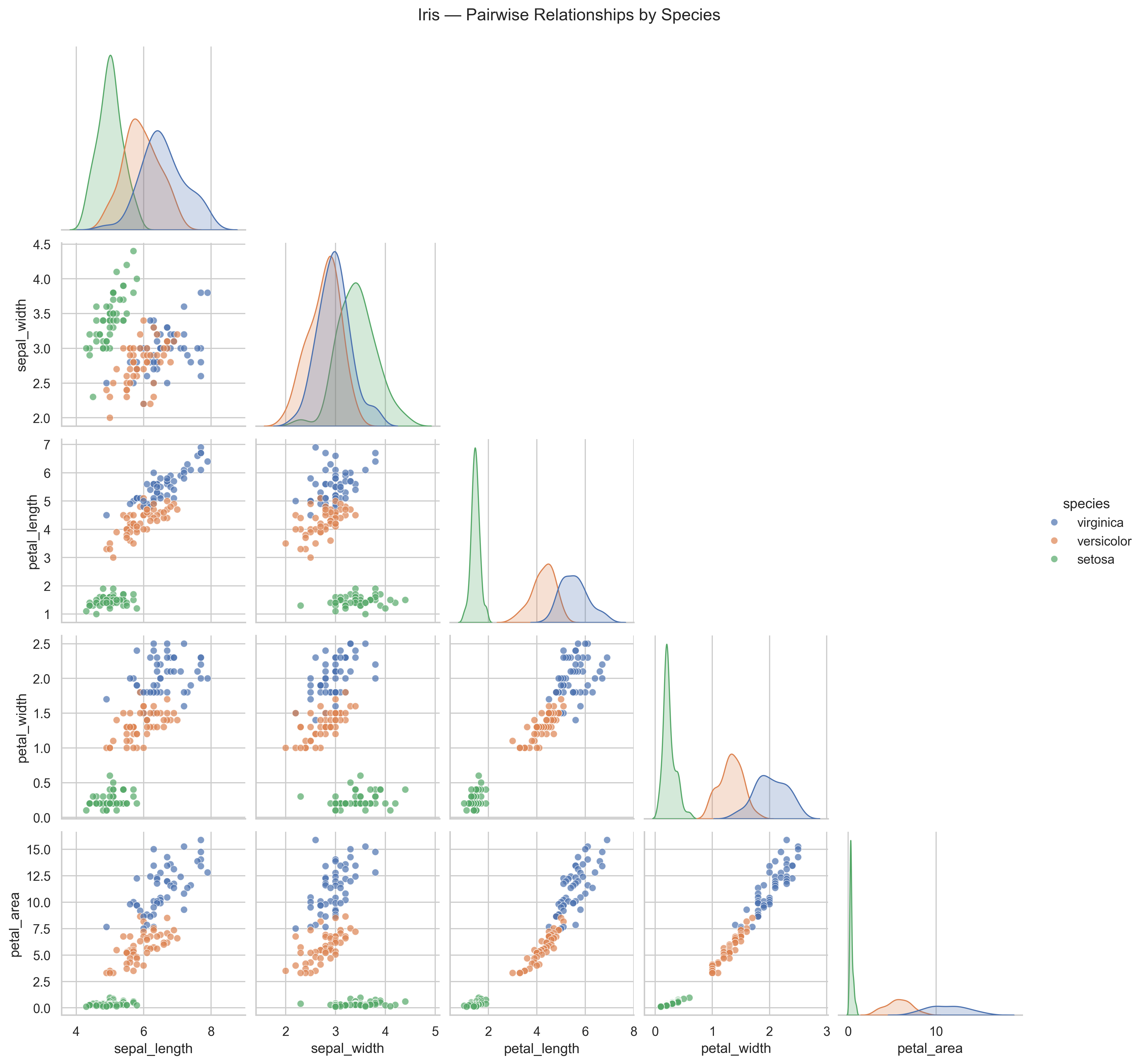 Corner pairplot of sepal length, sepal width, petal length, petal width, and petal area, colored by Iris species.